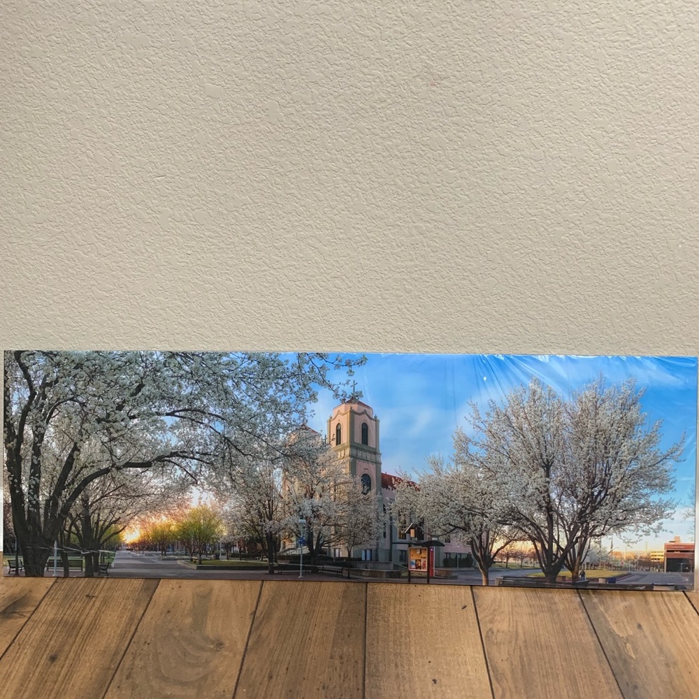 Photograph Beautiful Church Downtown Denver